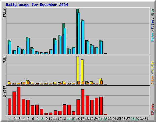 Daily usage for December 2024