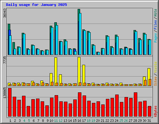 Daily usage for January 2025