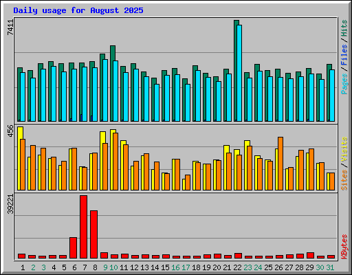 Daily usage for August 2025