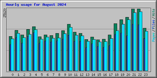 Hourly usage for August 2024