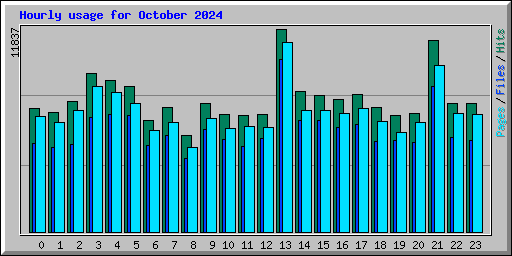 Hourly usage for October 2024