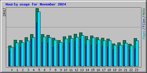 Hourly usage for November 2024