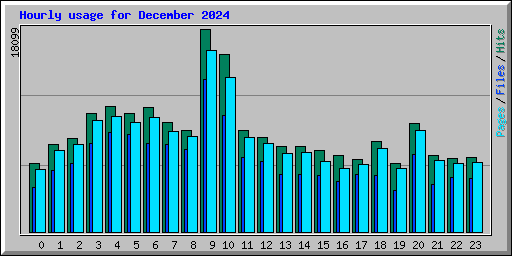 Hourly usage for December 2024