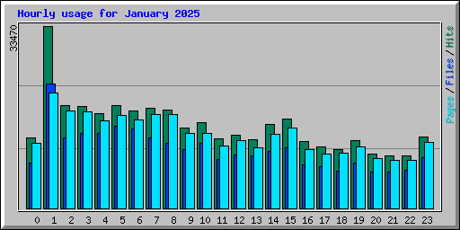 Hourly usage for January 2025