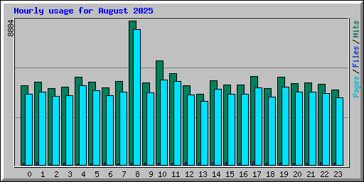 Hourly usage for August 2025