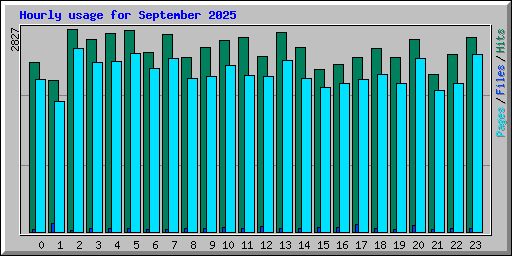 Hourly usage for September 2025