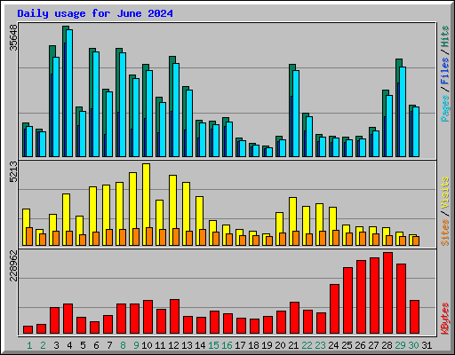 Daily usage for June 2024