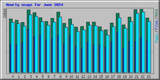 Hourly usage for June 2024