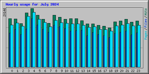 Hourly usage for July 2024